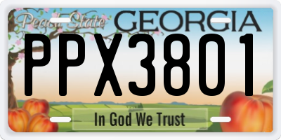 GA license plate PPX3801