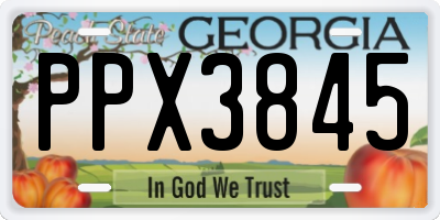 GA license plate PPX3845