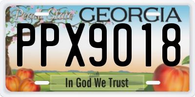 GA license plate PPX9018