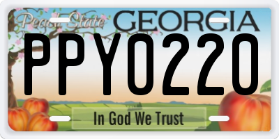 GA license plate PPY0220