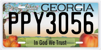 GA license plate PPY3056
