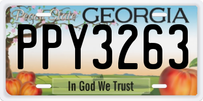GA license plate PPY3263