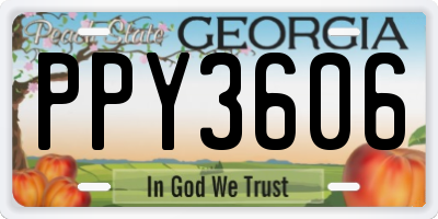 GA license plate PPY3606