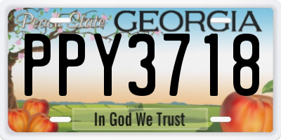 GA license plate PPY3718