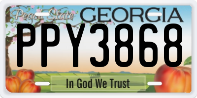 GA license plate PPY3868