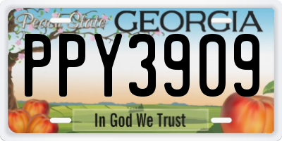 GA license plate PPY3909
