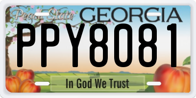 GA license plate PPY8081