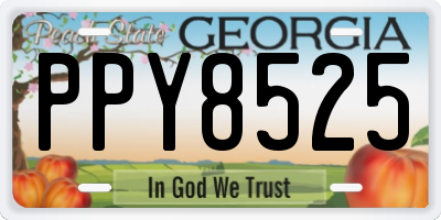 GA license plate PPY8525