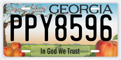 GA license plate PPY8596