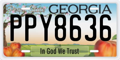 GA license plate PPY8636