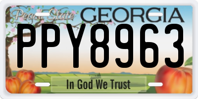 GA license plate PPY8963