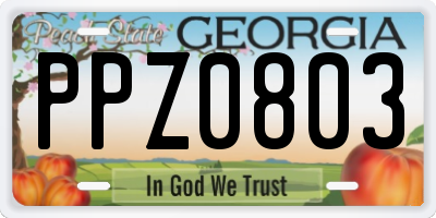 GA license plate PPZ0803