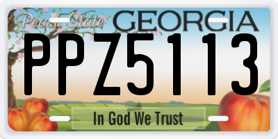 GA license plate PPZ5113