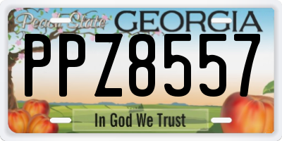 GA license plate PPZ8557