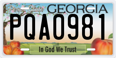 GA license plate PQA0981