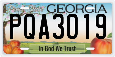 GA license plate PQA3019