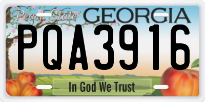 GA license plate PQA3916