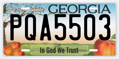 GA license plate PQA5503