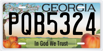 GA license plate PQB5324