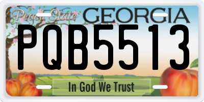 GA license plate PQB5513