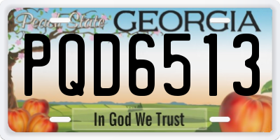 GA license plate PQD6513