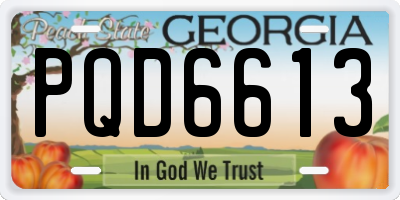 GA license plate PQD6613