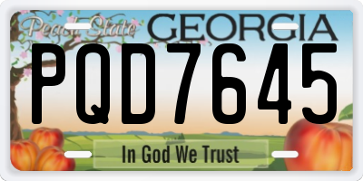 GA license plate PQD7645