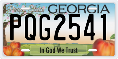 GA license plate PQG2541