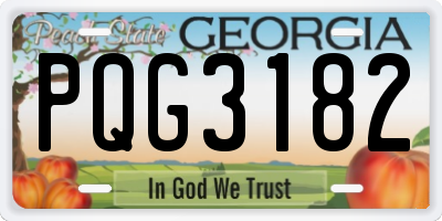 GA license plate PQG3182