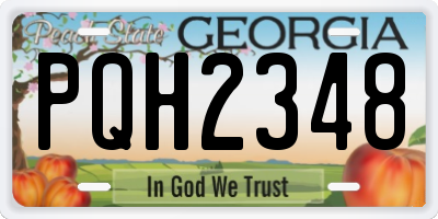GA license plate PQH2348