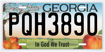 GA license plate PQH3890