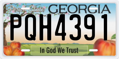 GA license plate PQH4391
