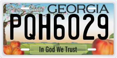 GA license plate PQH6029
