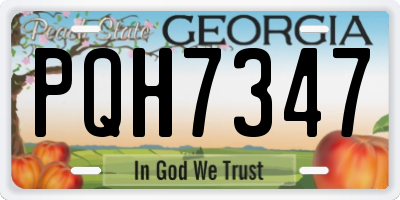 GA license plate PQH7347