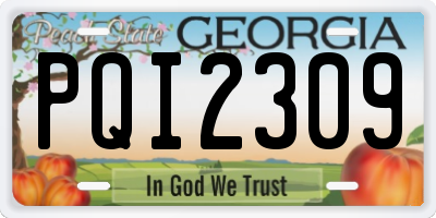 GA license plate PQI2309