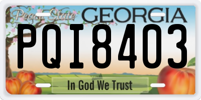 GA license plate PQI8403