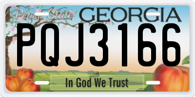 GA license plate PQJ3166