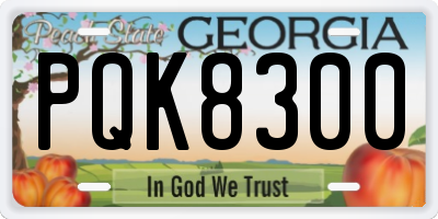GA license plate PQK8300
