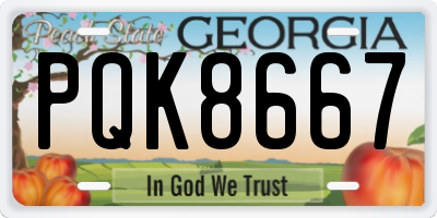 GA license plate PQK8667