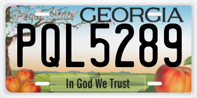GA license plate PQL5289