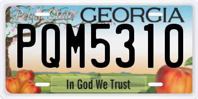 GA license plate PQM5310