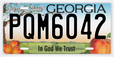 GA license plate PQM6042