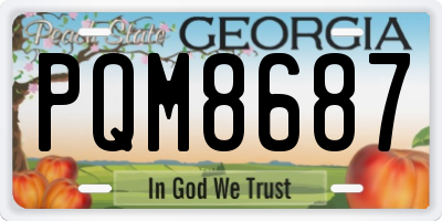 GA license plate PQM8687