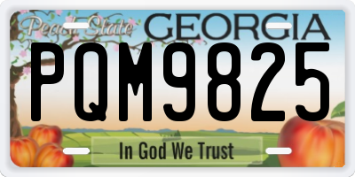 GA license plate PQM9825