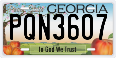 GA license plate PQN3607
