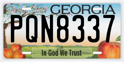 GA license plate PQN8337