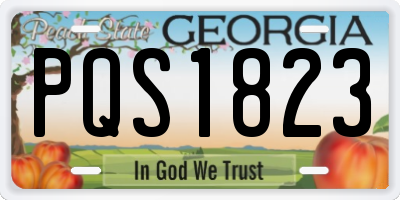 GA license plate PQS1823