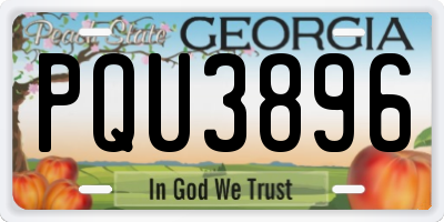 GA license plate PQU3896