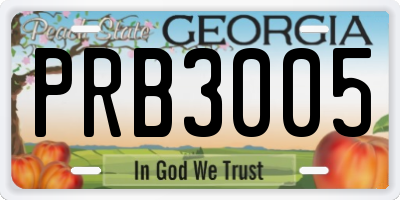 GA license plate PRB3005