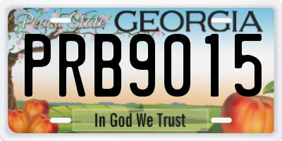 GA license plate PRB9015
